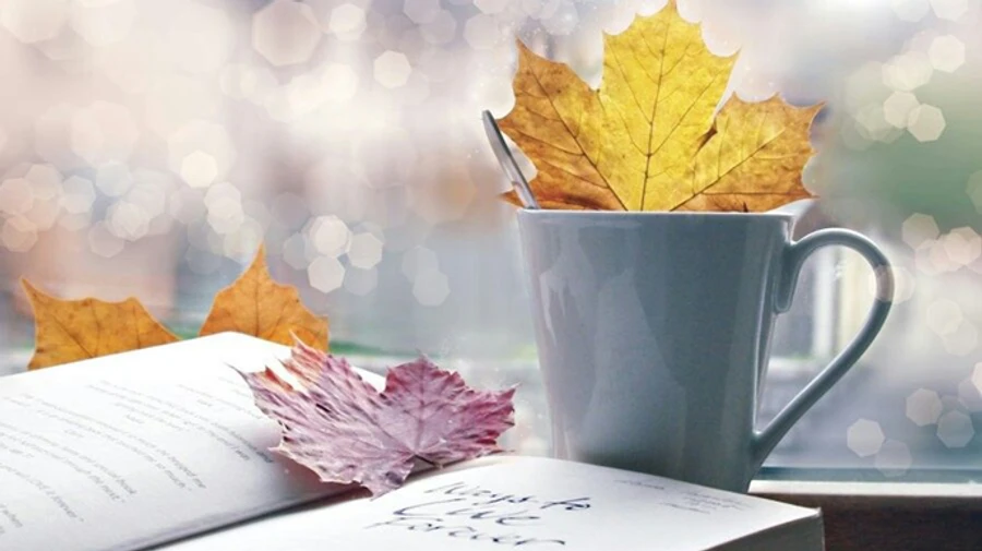 В Україні буде прохолодно, але сухо