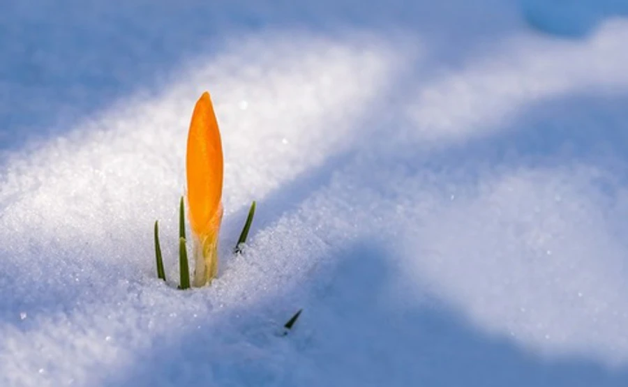 В Украину идет потепление