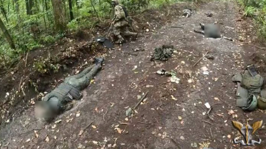 Десантники знищили групу російських окупантів на Донеччині