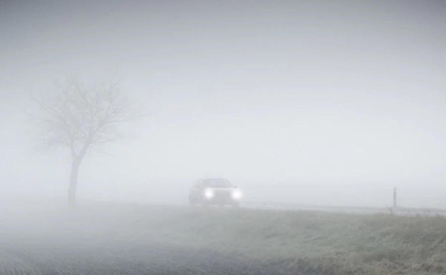 Погода: Выходные - в тумане с дождем, понедельника - с теплом и без осадков 