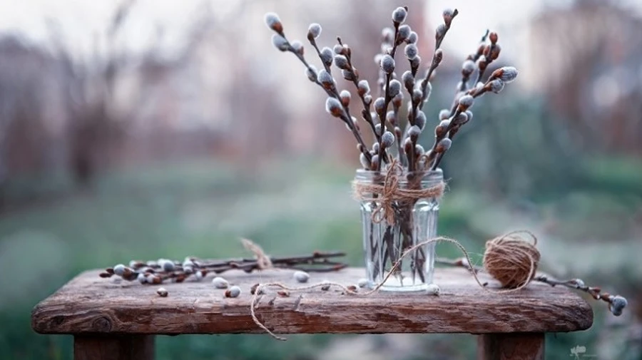 Погода в Вербное воскресенье: дождь и холод