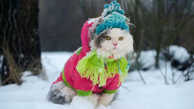 В Україну нарешті прийдуть справжні морози