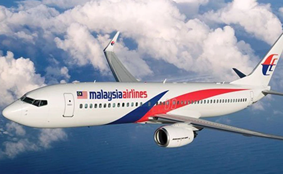 У Нідерландах затримали журналіста, що намагався провезти уламки з МН17