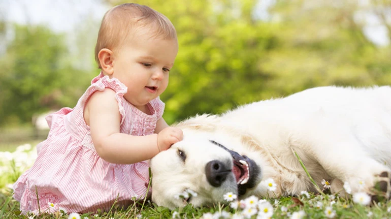 Домашні улюбленці та немовлята: як зробити їхній контакт безпечним? Поради педіатра