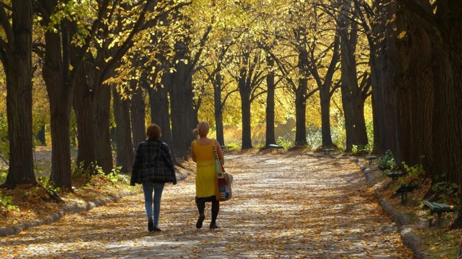 В Киеве началось бабье лето – климатологи