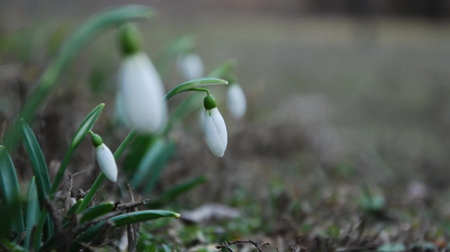 Циклон покидает Украину, но будет еще прохладно