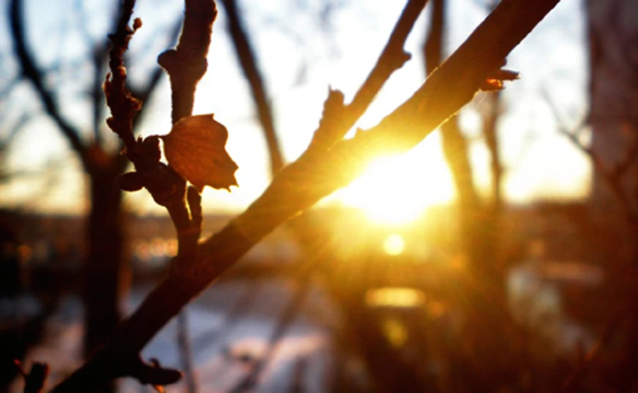 На выходных в Украине до 11 тепла