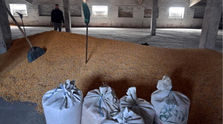 Кнут и пряник от ЕС: по каким правилам будет осуществляться торговля с Украиной