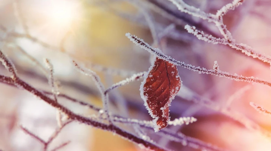 У понеділок вночі вдарить мороз до -14°, у низці регіонів сніг і дощ