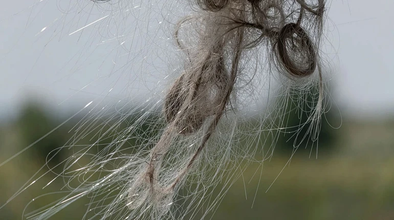 Glass cobwebs in the fields: why fibre optics could become a problem for demining Ukraine