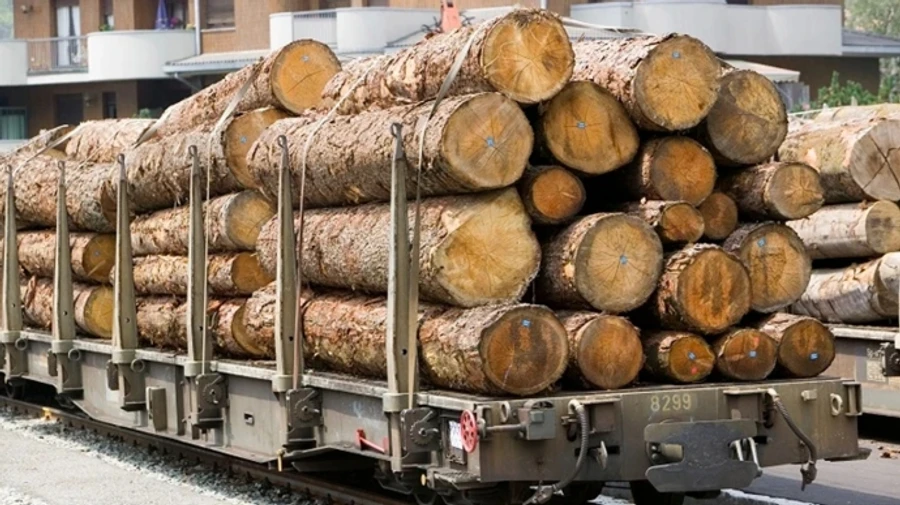 Poland blocks exports of Ukrainian timber