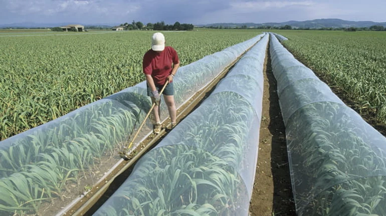 Ринок землі в ЄС: як він працює та до чого варто готуватися Україні