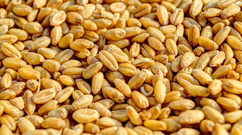 Польський міністр проти продовження торгових преференцій ЄС для України