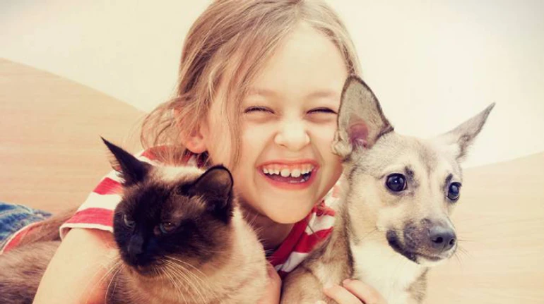 Що (не)робити, якщо наважилися взяти в дім безпритульну тварину