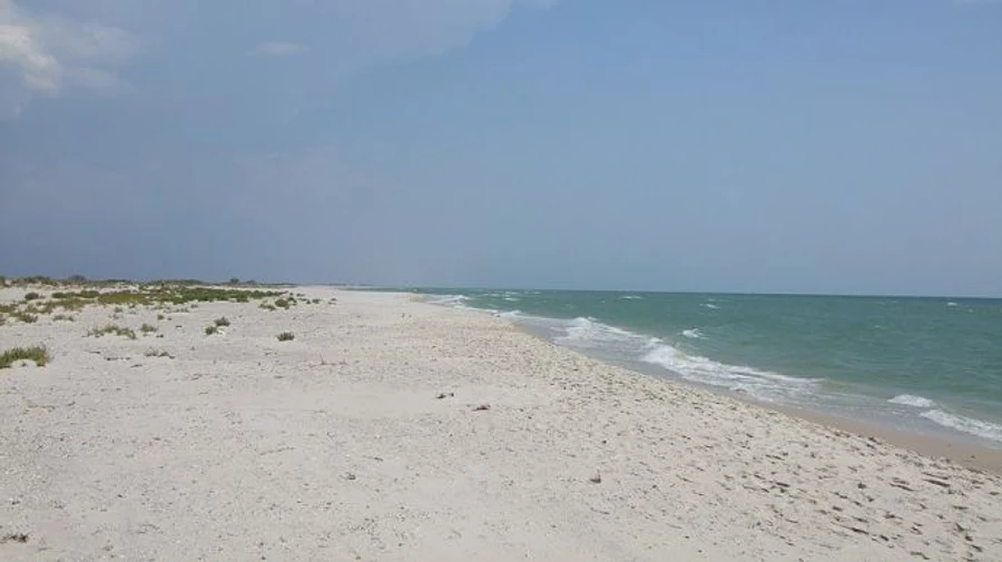 Russians train mobilised soldiers on Dzharylhach Island – General Staff