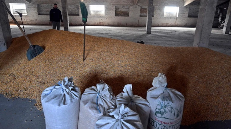 Мала аграрна блокада. Пояснюємо наслідки рішення ЄС, яке послабило польську заборону