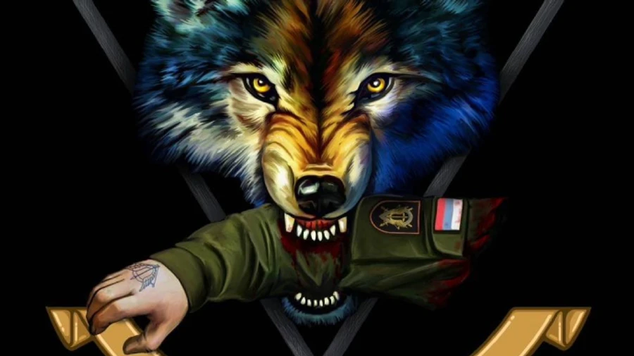 ССО отминусовали российскую ДРГ под Бахмутом