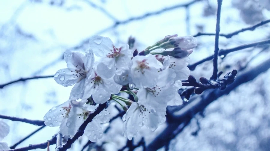 Синоптики розповіли, коли чекати похолодання