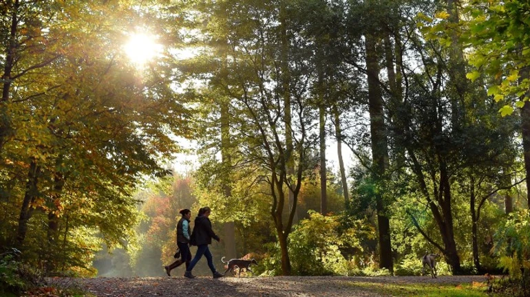 Погода порадует украинцев теплом и солнцем