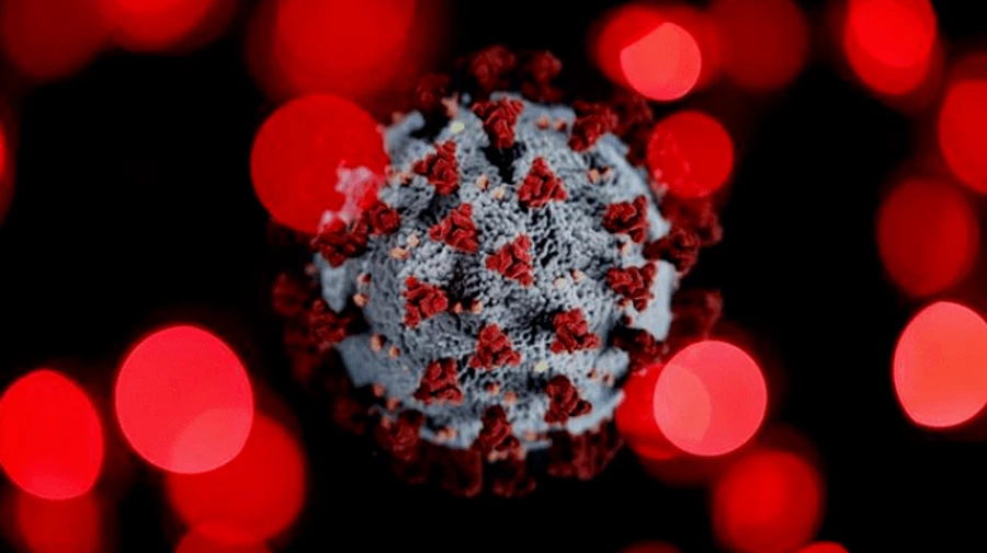 В Індії зафіксували рекорд заражень і смертей від COVID-19