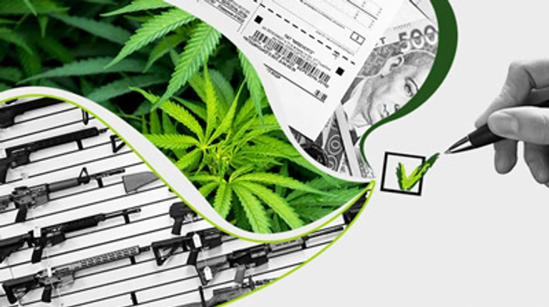 Каннабис и оружие vs Язык и тарифы. Какие вопросы и почему они могут стать проблемой на референдуме