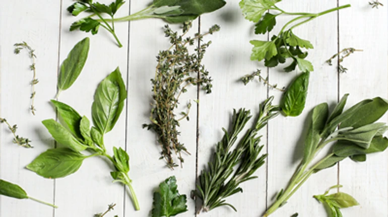 ПОДКАСТ: Чи ефективна фітотерапія та в яких випадках вона може зашкодити? Пояснює науковець 