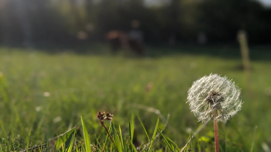 В Украину движется антициклон, который ненадолго прогонит осадки