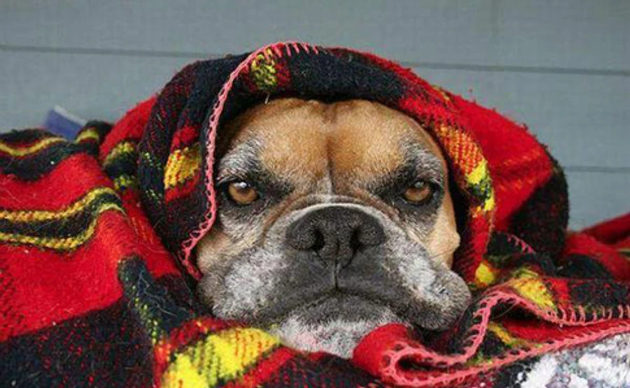 Аномальний холод в Україні: країну накриває північний антициклон