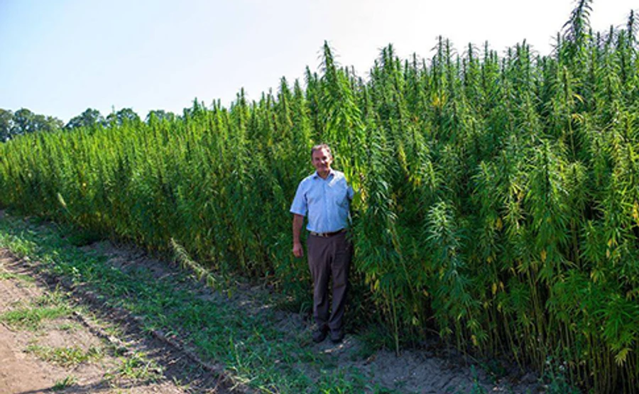 Мэр Глухова анонсировал открытие в городе центра терапии марихуаной