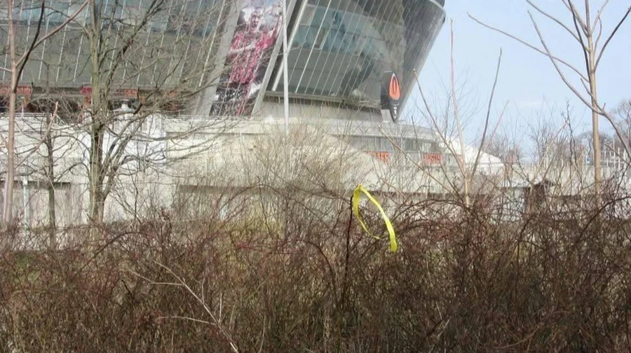 Рух Жовта стрічка пообіцяв переформатувати роботу чат-бота після розслідування про безпеку активістів