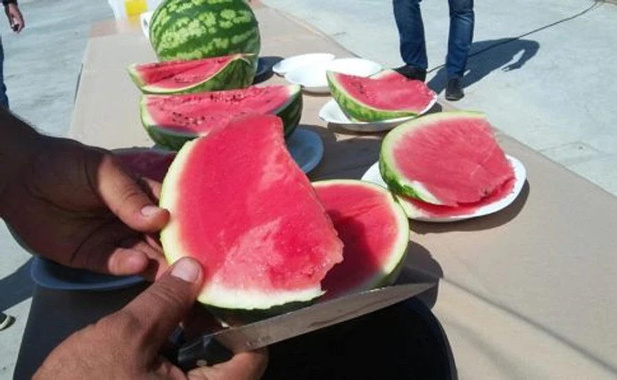 Баржу з херсонськими кавунами розвантажили на Київщині