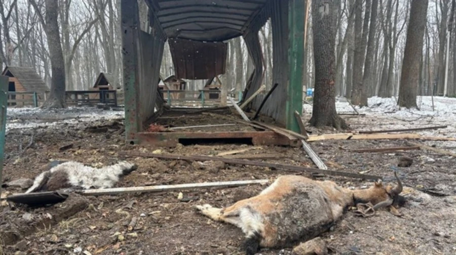 Russian Shahed drone strike kills goats in eco-park near Kharkiv
