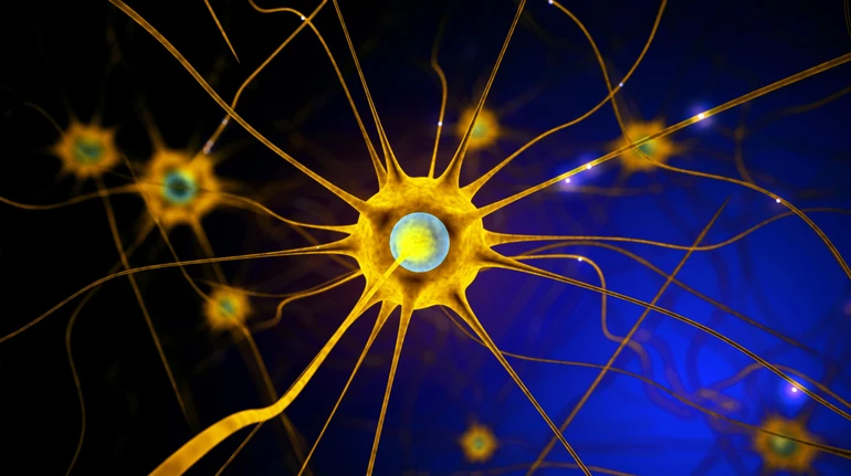 Где искать блуждающий нерв, может ли он заболеть и что стоит о нем знать?