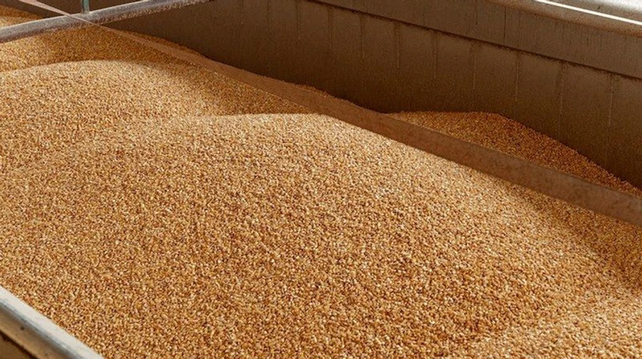 Some wheat exporters fail to meet contracts due to Russian strikes on ports – Reuters