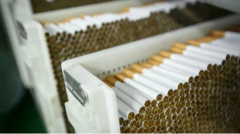 Митниця фіксує зниження частки контрабандних сигарет на ринку