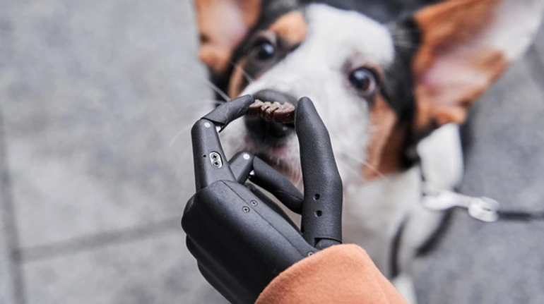 Пенсии по инвалидности: кто имеет право на выплаты и как получить