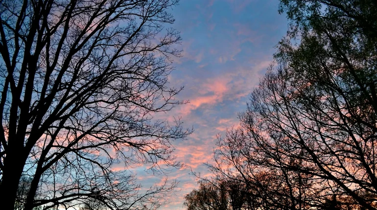 На вихідних в Україні без опадів та до +14°