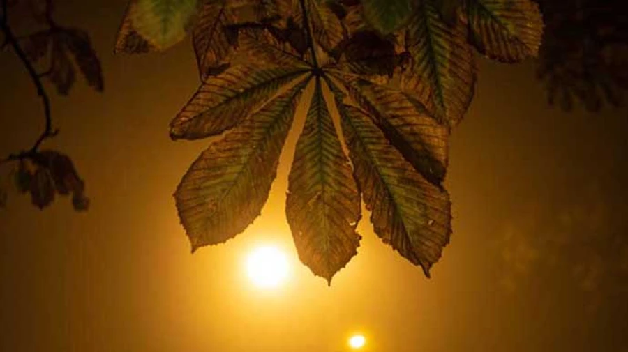 Осень в Киеве оказалась самой теплой за 140 лет