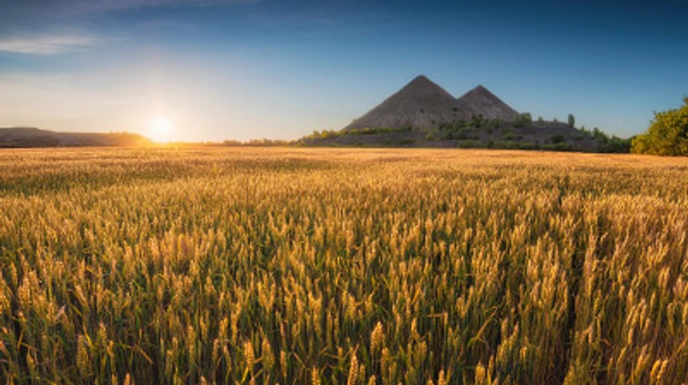 Ирен Роздобудько, Любовь Якимчук и еще 5 известных дончан и луганчан о том, о чем они грустят и куда хотели бы вернуться