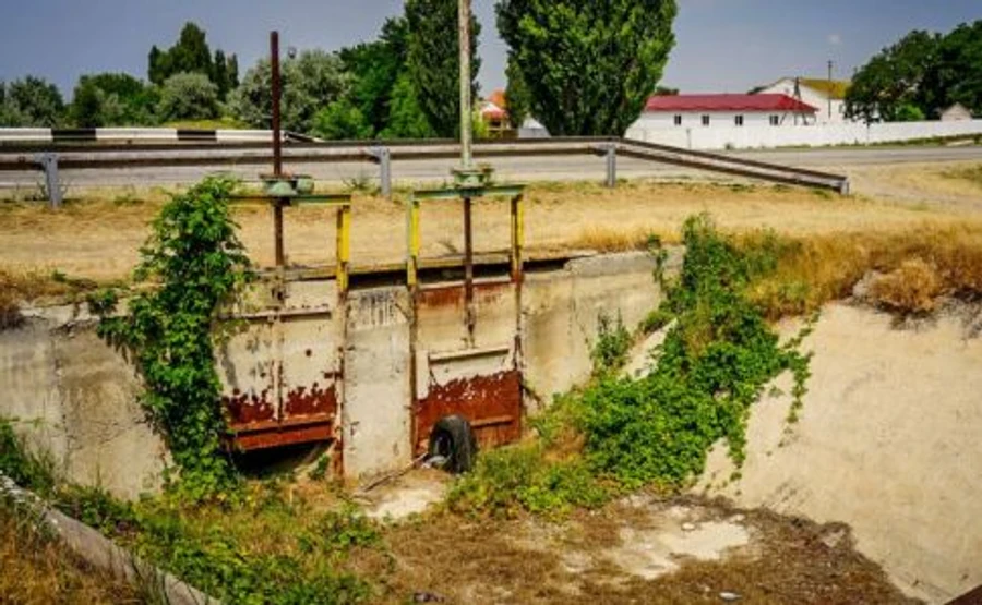 Крим всихає, рослинності стало менше. Україна винуватить Росію