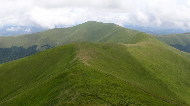 АРМА отменило торги, по которым продало землю Левочкину