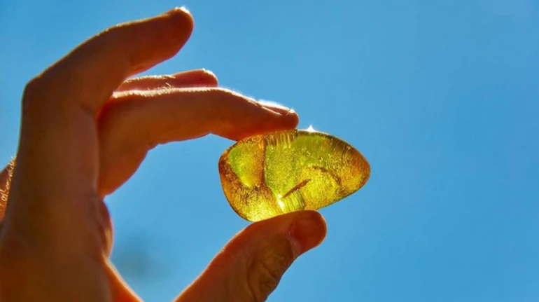 Тиша на бурштиновому фронті: перемога держави чи закінчення переділу ринку