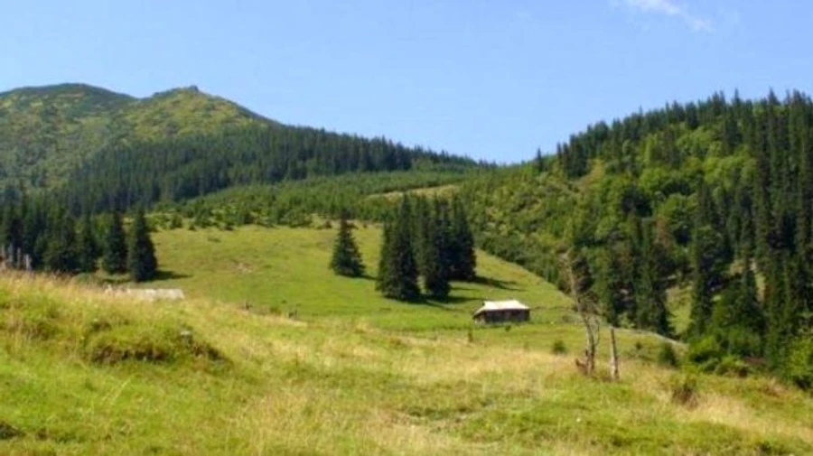 Зеленський створив Королівські Бескиди