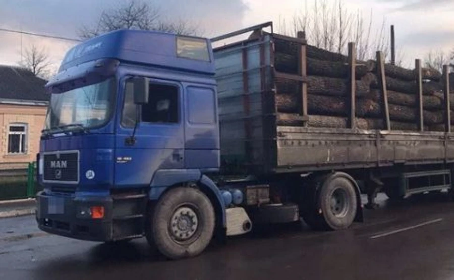 5 років за збут деревини: колишнього директора лісгоспу покарали