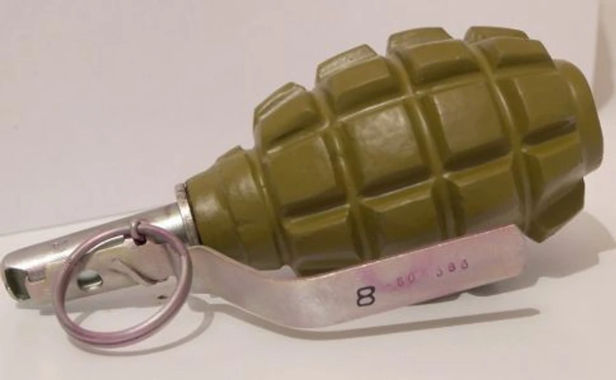 Чоловік прийшов у гості і кинув гранату на подвір'я