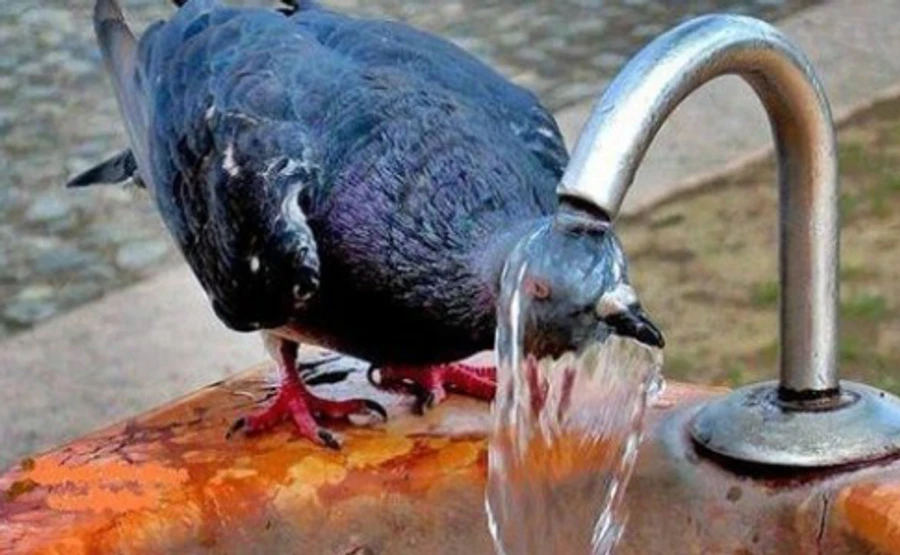 Синоптики рассказали, какой жары ждать