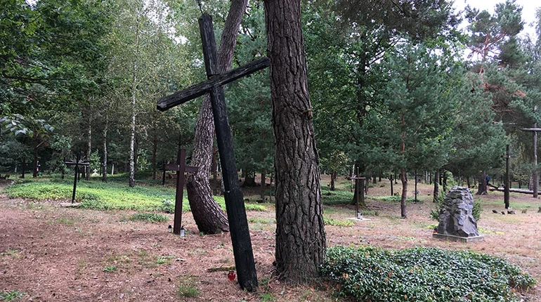 Україна та Польща почали спільні розкопки на місці Волинської трагедії