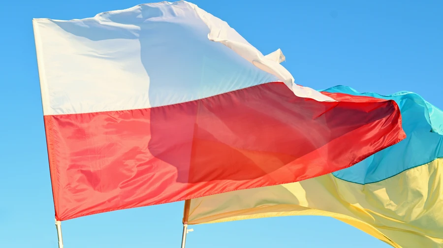 У Сеймі Польщі після моральної перемоги радять зосередитись на майбутніх відносинах з Києвом