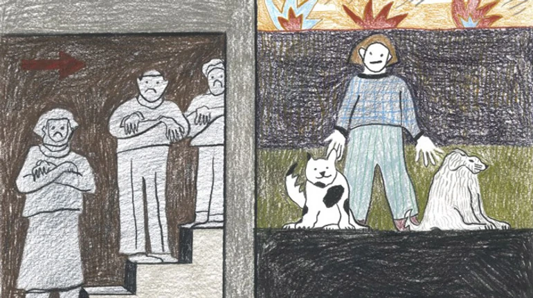 На фоні стресу мій пес почав сивіти. Воєнні історії домашніх тварин