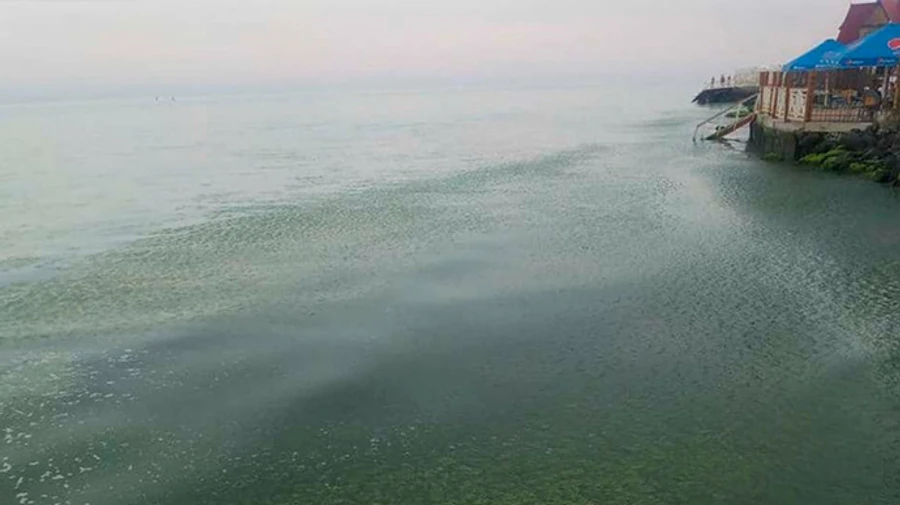 На курорте Одесской области утонули отец и сын